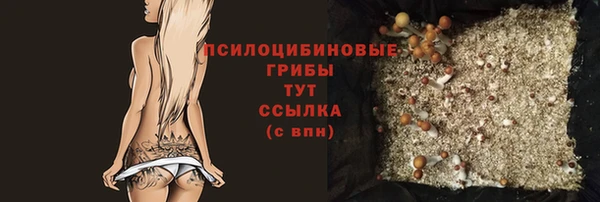 мяу мяу мука Покровск