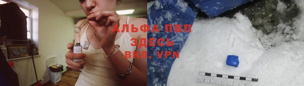 ПСИЛОЦИБИНОВЫЕ ГРИБЫ Белокуриха
