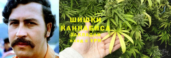 ПСИЛОЦИБИНОВЫЕ ГРИБЫ Белокуриха