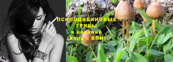 ПСИЛОЦИБИНОВЫЕ ГРИБЫ Белокуриха
