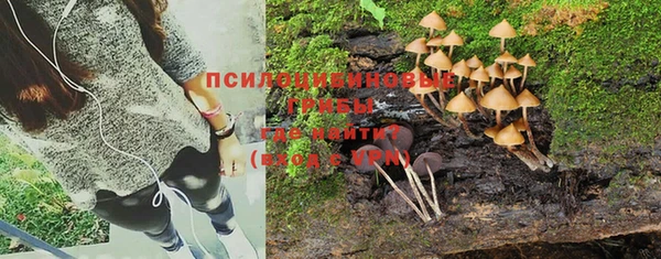 винт Беломорск