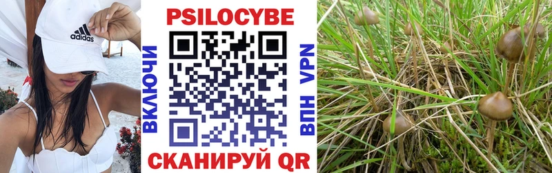 Псилоцибиновые грибы прущие грибы  блэк спрут ТОР  Шарья 
